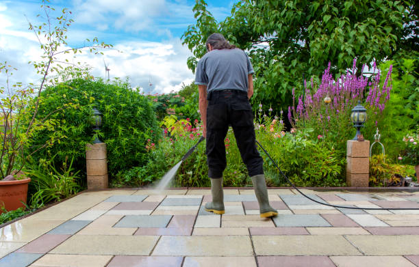 Best Sidewalk and Walkway Cleaning  in St Joseph, IL