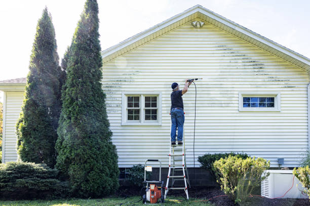 Best Parking Lot and Garage Cleaning  in St Joseph, IL