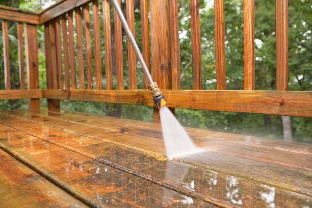 Animal Enclosure Cleaning in St Joseph, IL